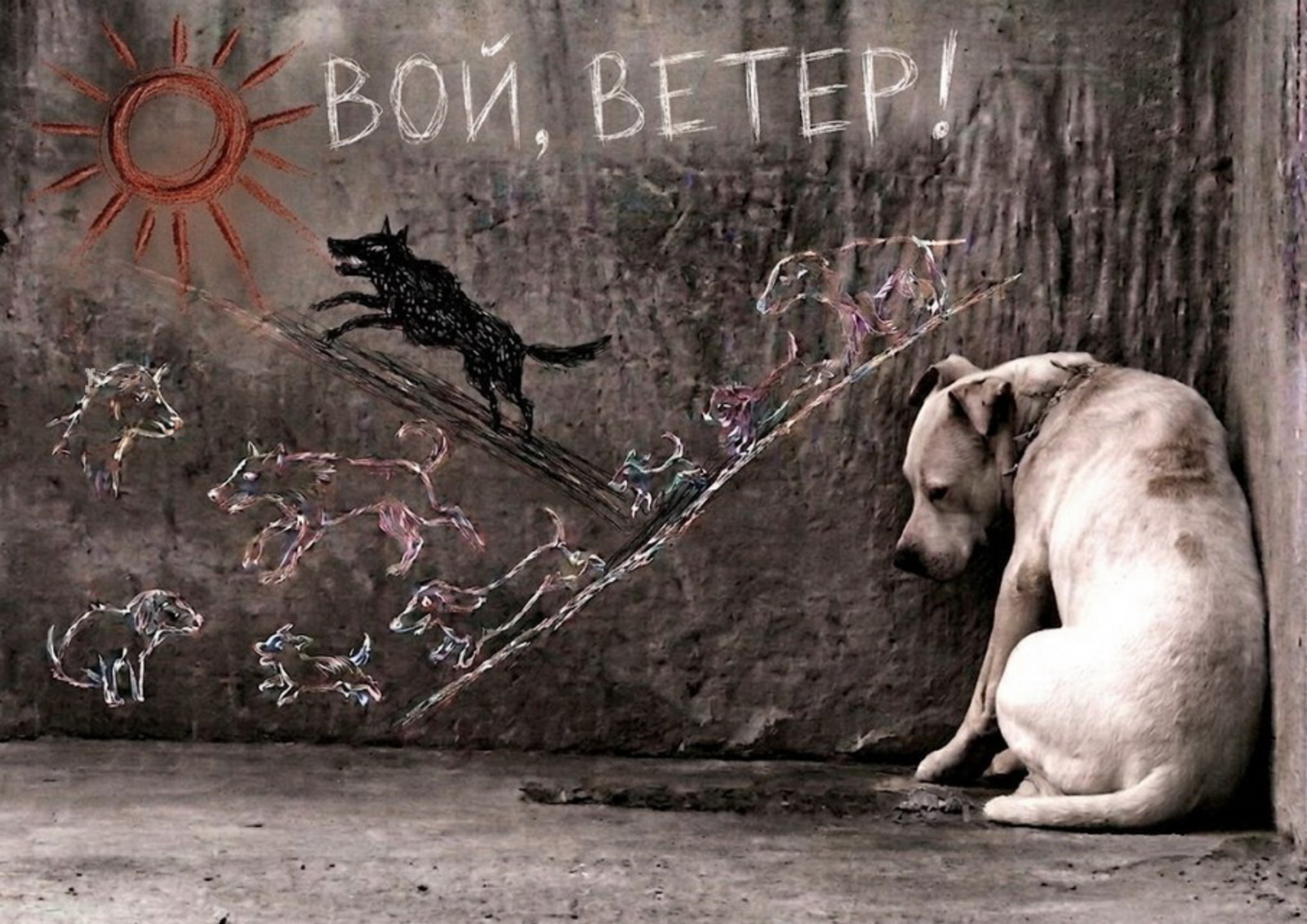 Вой, ветер! — афиша спектакля, билеты