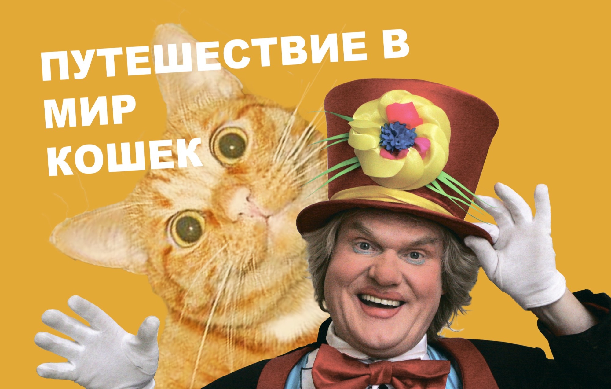 Увлекательное путешествие в волшебный мир кошек с ЮРИЕМ КУКЛАЧЕВЫМ — афиша спектакля, билеты